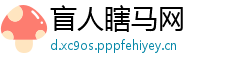 盲人瞎马网